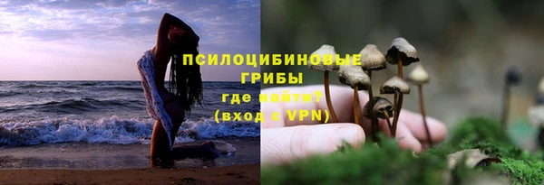 прущие грибы Алексин