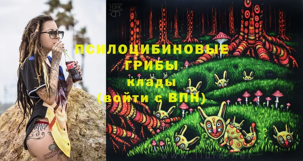 а пвп мука Алзамай
