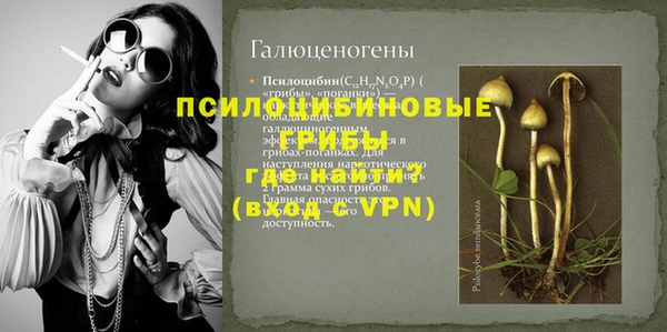 прущие грибы Алексин