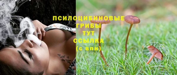 прущие грибы Алексин