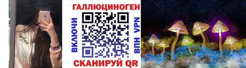 hydra сайт  Карачев  Псилоцибиновые грибы Cubensis  купить закладку 